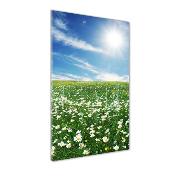 Foto auf glas vertikales Wiese