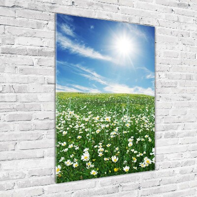 Foto auf glas vertikales Wiese