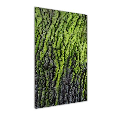 Glasbild vertikales Baumrinde