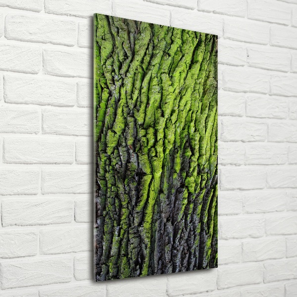 Glasbild vertikales Baumrinde