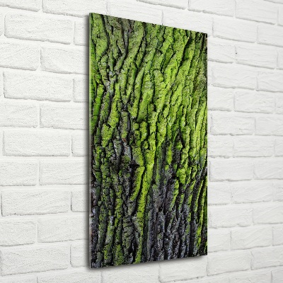 Glasbild vertikales Baumrinde