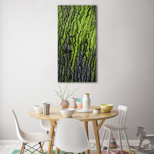 Glasbild vertikales Baumrinde
