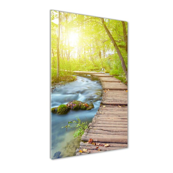 Bild aus glas vertikales Pfad im Wald