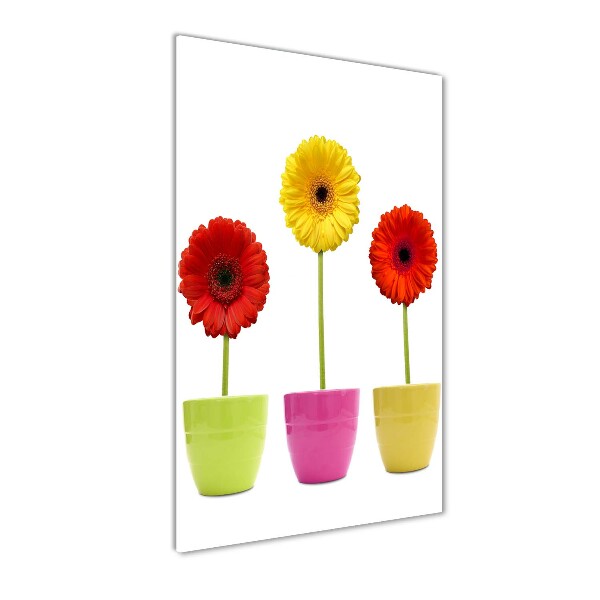 Foto auf glas vertikales Bunte Gerbera