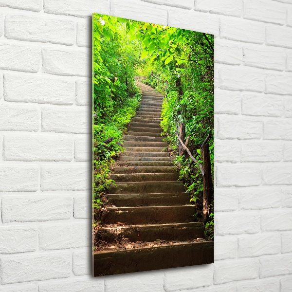 Glasbild vertikales Treppe zum Wald