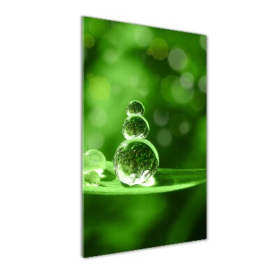 Bild aus glas vertikales Tropfen auf dem Gras