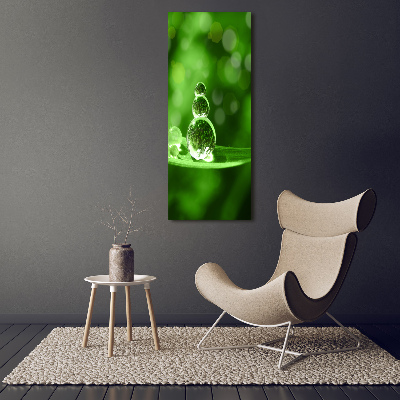 Bild aus glas vertikales Tropfen auf dem Gras