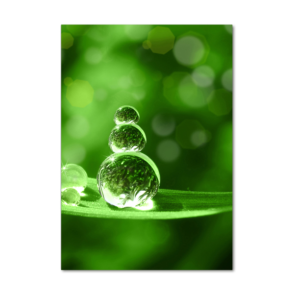 Bild aus glas vertikales Tropfen auf dem Gras