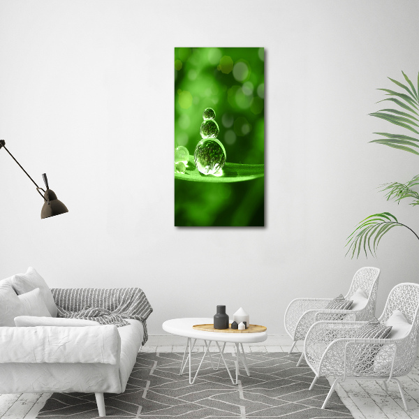 Bild aus glas vertikales Tropfen auf dem Gras