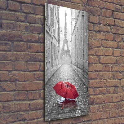 Glasbild vertikales Regenschirm Frankreich