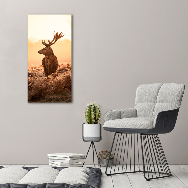 Foto auf glas vertikales Hirsch-Sonnenaufgang