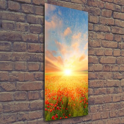 Bild aus glas vertikales Mohnfeld
