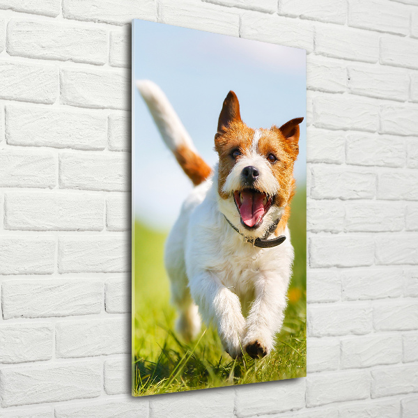 Bild aus glas vertikales Jack Russell Terrier