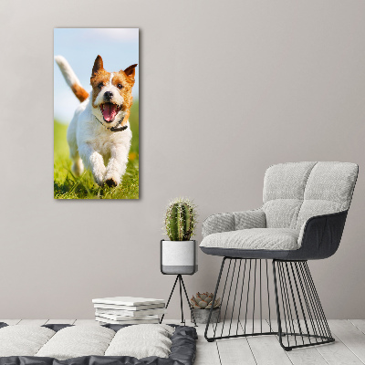 Bild aus glas vertikales Jack Russell Terrier