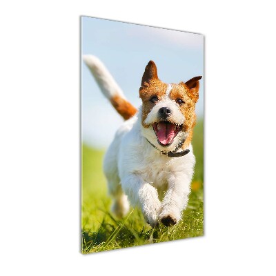 Bild aus glas vertikales Jack Russell Terrier