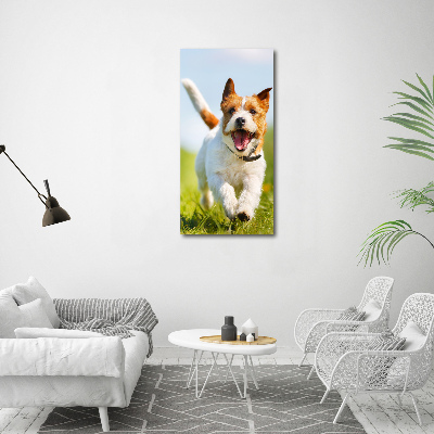 Bild aus glas vertikales Jack Russell Terrier