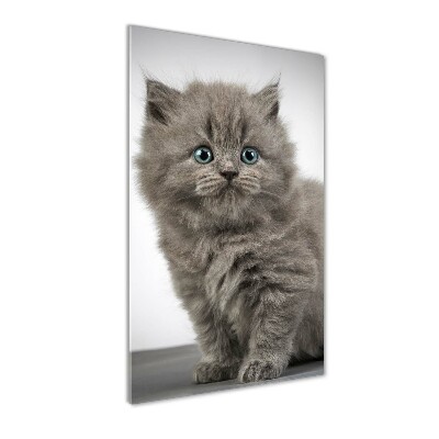 Glasbild vertikales Graue britische Katze
