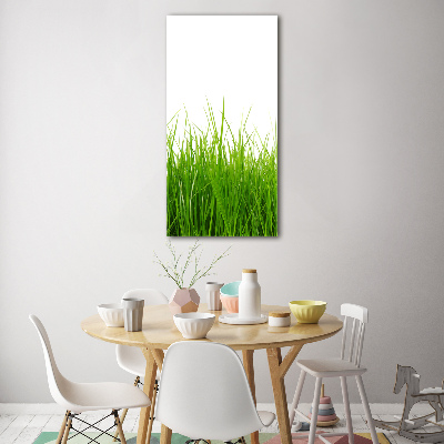 Bild aus glas vertikales Grünes Gras