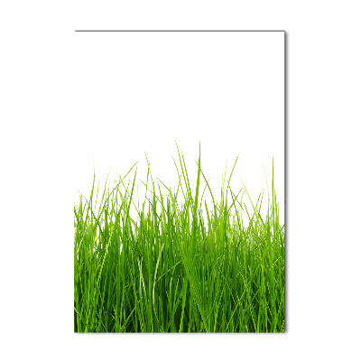 Bild aus glas vertikales Grünes Gras