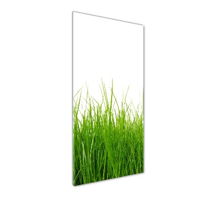 Bild aus glas vertikales Grünes Gras