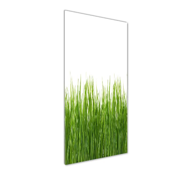 Glasbild vertikales Grünes Gras