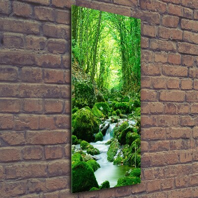 Bild aus glas vertikales Ein Bach im Dschungel