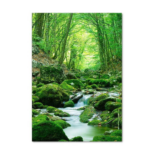 Bild aus glas vertikales Ein Bach im Dschungel