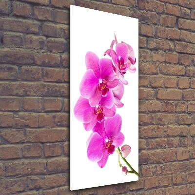 Glasbild vertikales Rosa Orchidee