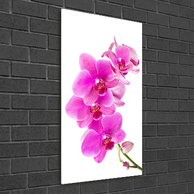 Glasbild vertikales Rosa Orchidee