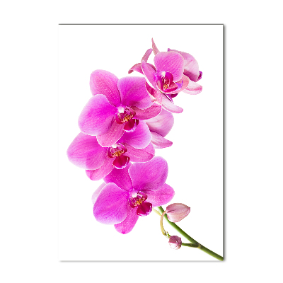 Glasbild vertikales Rosa Orchidee