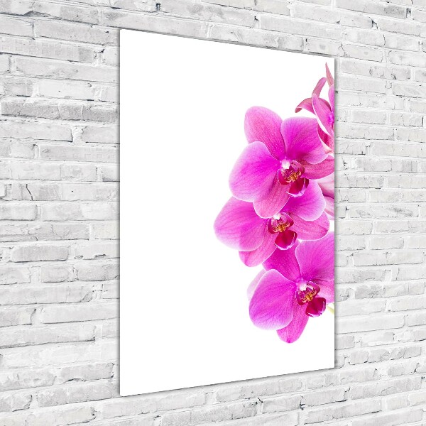 Glasbild vertikales Rosa Orchidee