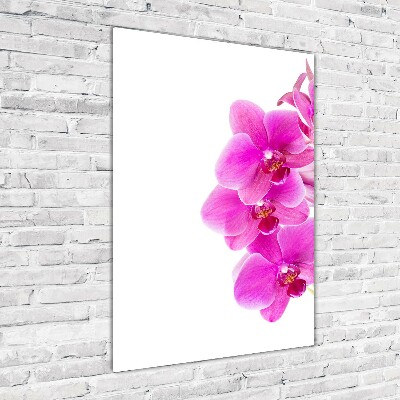 Glasbild vertikales Rosa Orchidee