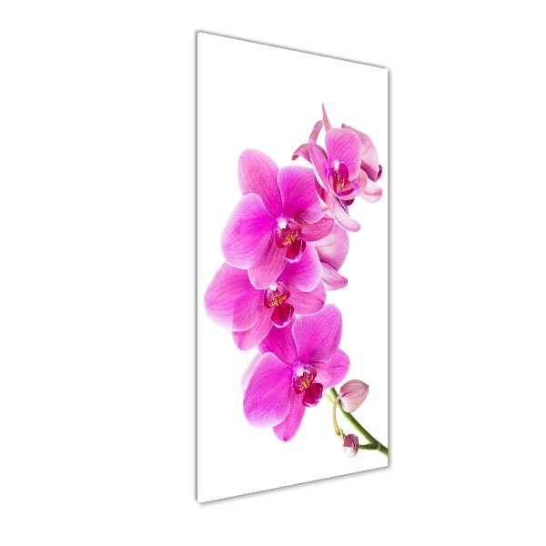 Glasbild vertikales Rosa Orchidee