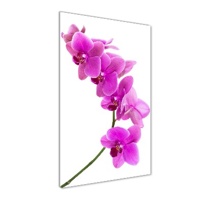 Bild aus glas vertikales Rosa Orchidee