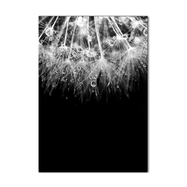 Foto auf glas vertikales Löwenzahnsamen