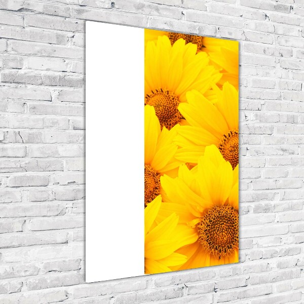 Bild aus glas vertikales Sonnenblumen