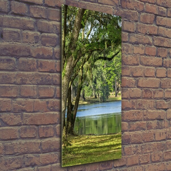 Glasbild vertikales See im Park
