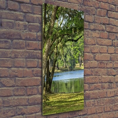 Glasbild vertikales See im Park