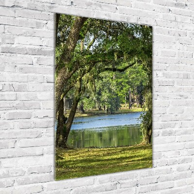Glasbild vertikales See im Park