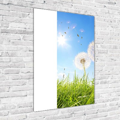 Glasbild vertikales Löwenzahn auf der Wiese
