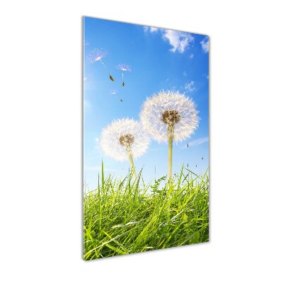 Glasbild vertikales Löwenzahn auf der Wiese