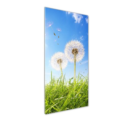 Glasbild vertikales Löwenzahn auf der Wiese