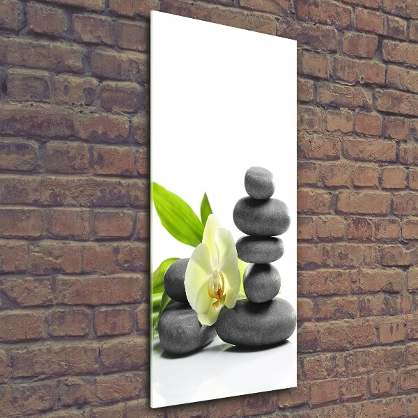 Foto auf glas vertikales Orchidee und Steine