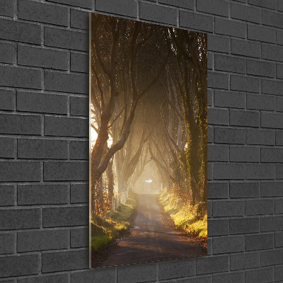 Glasbild vertikales Pfad im Wald