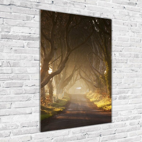 Glasbild vertikales Pfad im Wald