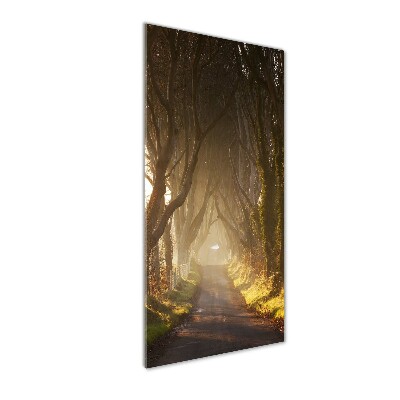 Glasbild vertikales Pfad im Wald
