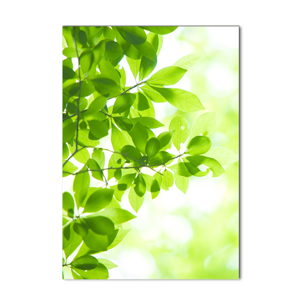 Foto auf glas vertikales Grüne Blätter