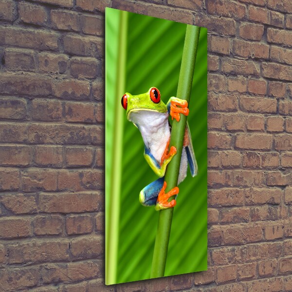 Glasbild vertikales Europäischer Laubfrosch