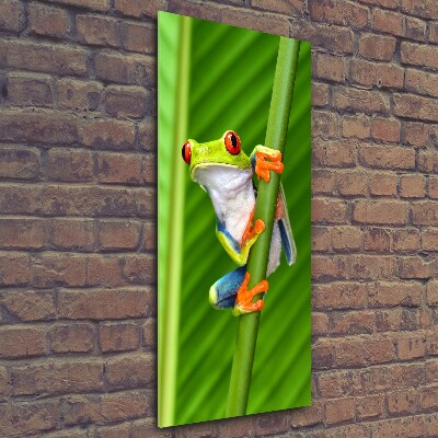Glasbild vertikales Europäischer Laubfrosch