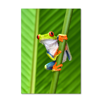 Glasbild vertikales Europäischer Laubfrosch